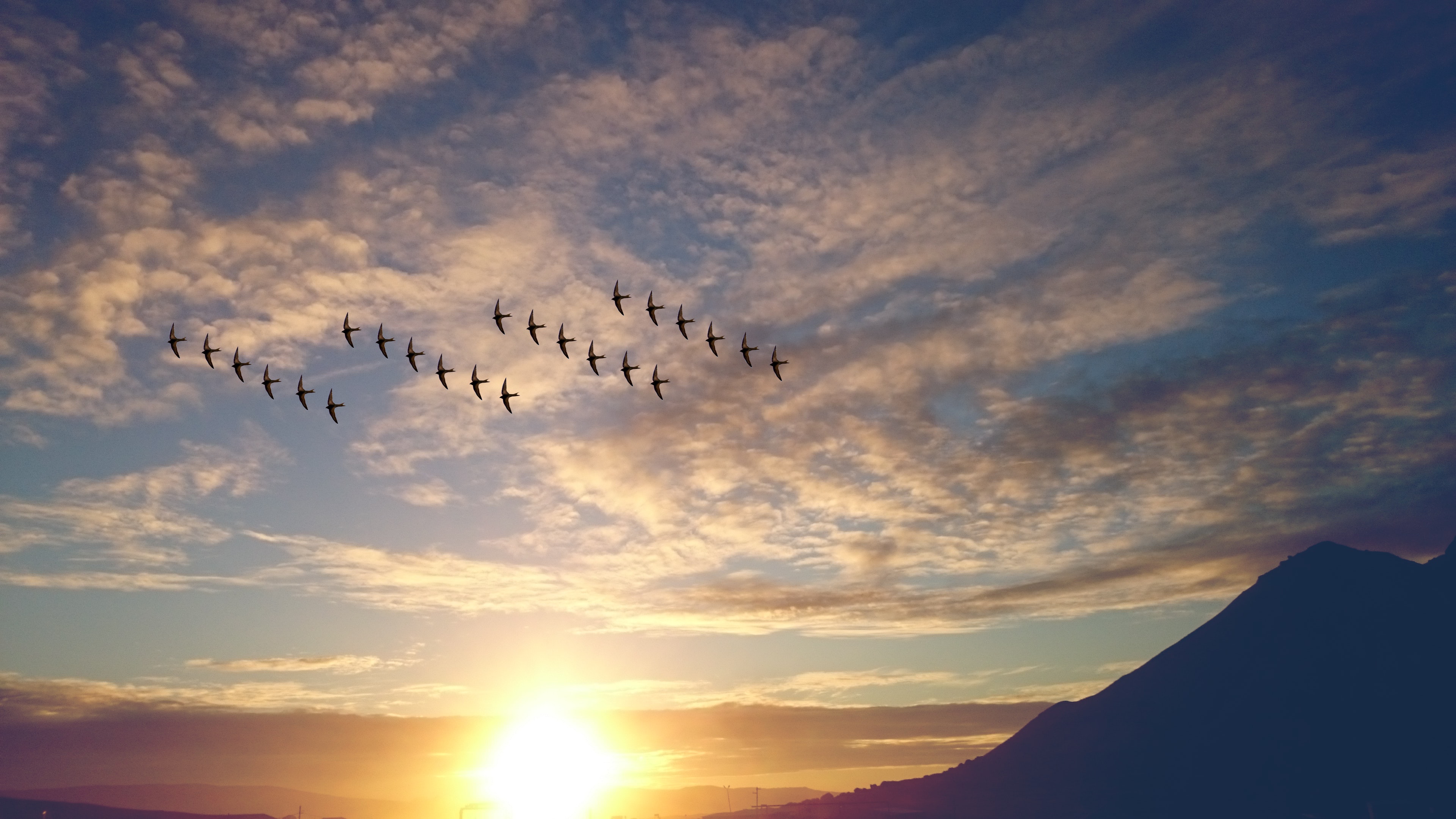 birds-Photo by Bahram Jamalov from Pexels