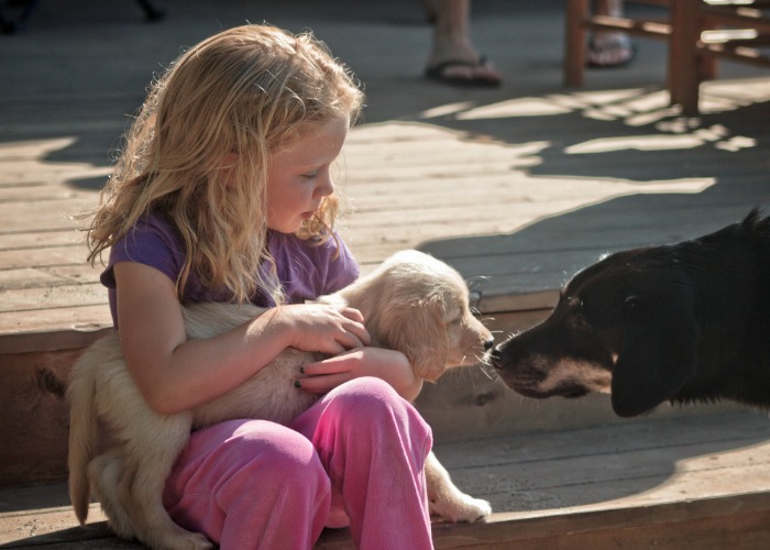 girl-and-dog