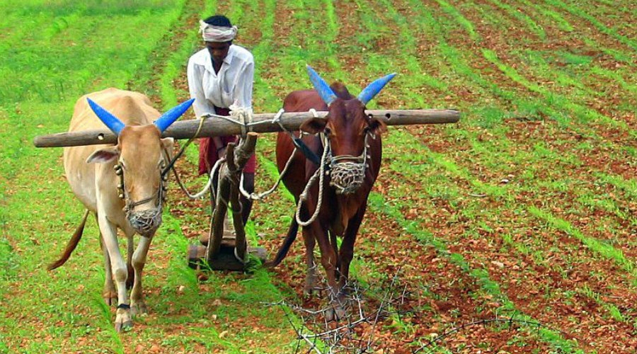 UN Sustainable Working Group Releases Goals for the Post-2015 Development Agenda